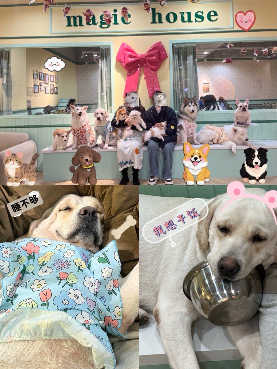 陳欽典 tweet media