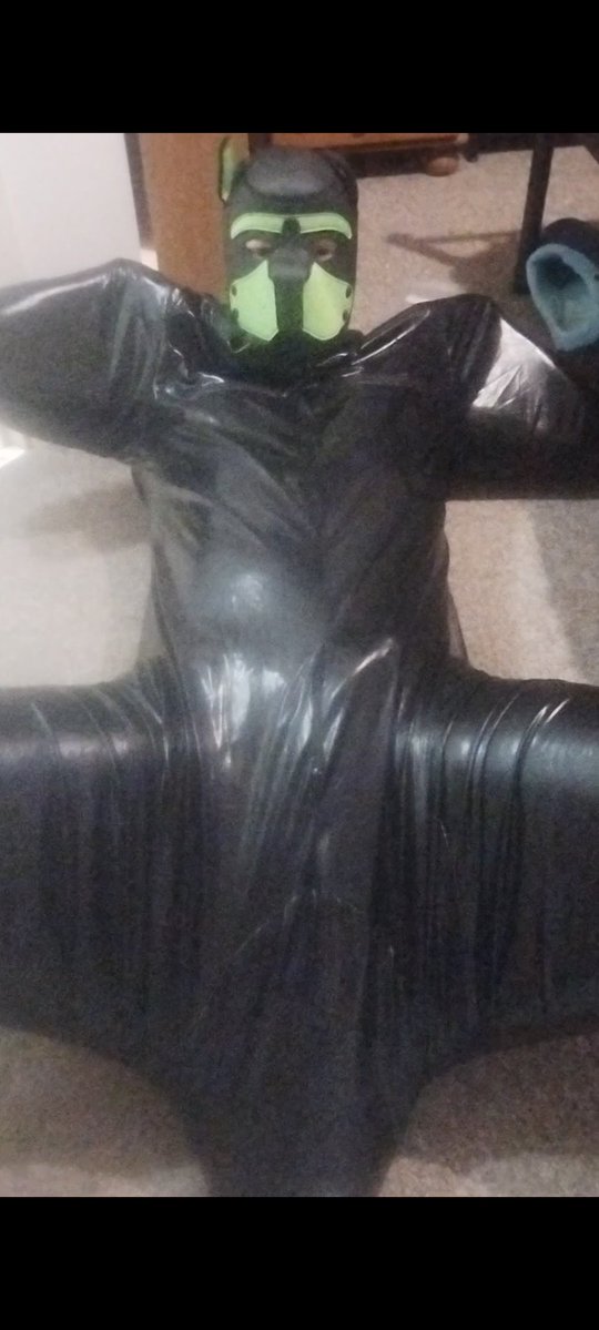 Naughty Pup tweet media