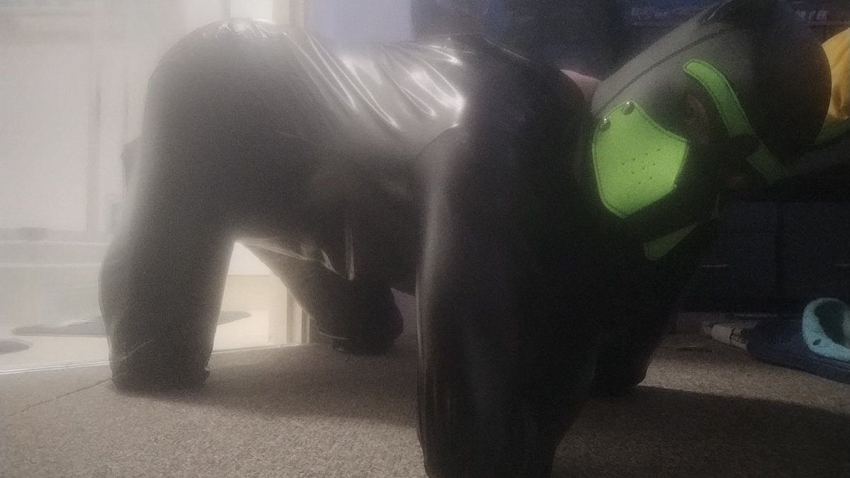 Naughty Pup tweet media