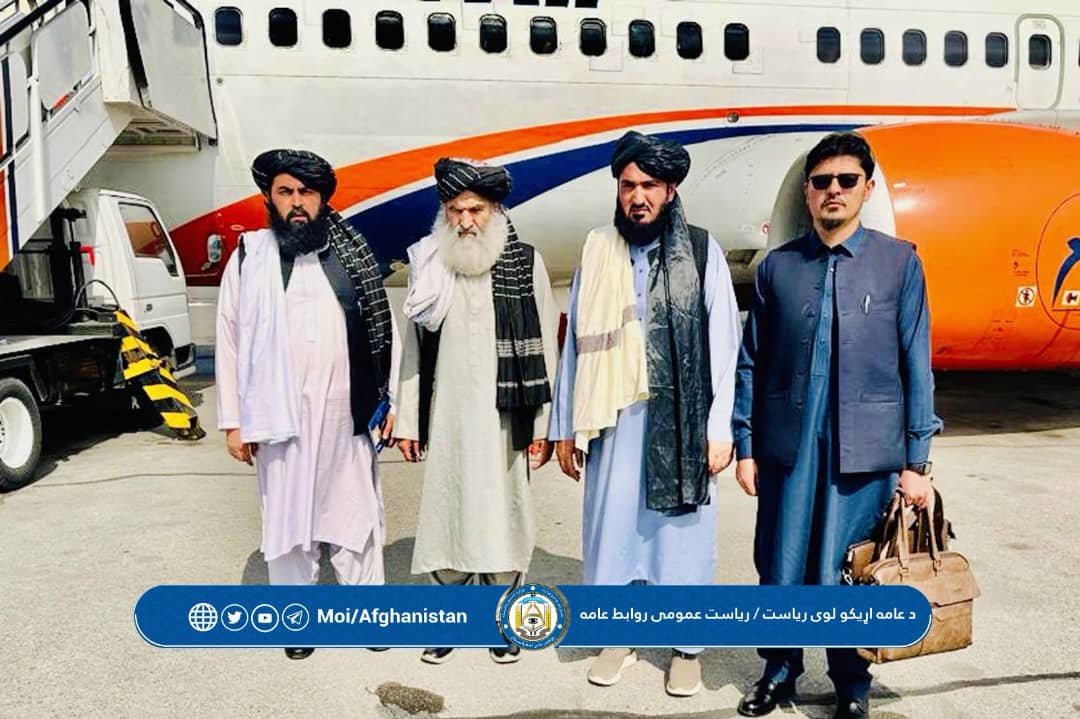 محمدشعیب tweet media