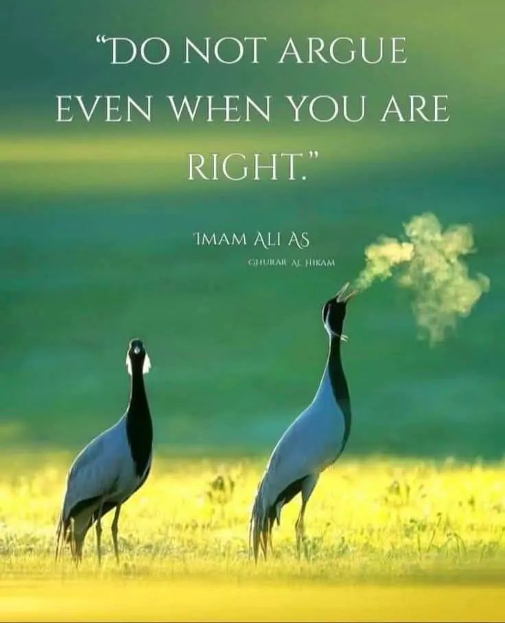 ONGOD's tweet photo. @alamiftikharalg @AP @beenasarwar @fifiharoon @NJLahori @romarizvi @Shabana_Saher @sirmedmanzoor @xSwoopty https://t.co/IW0I73I02N