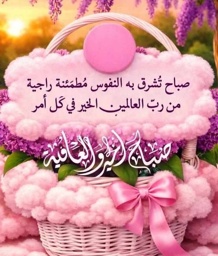 neveen hassan tweet media