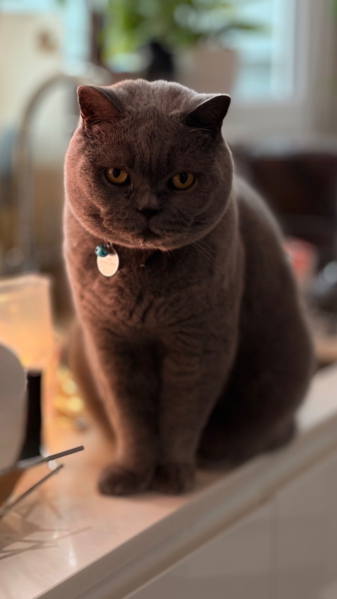 Stephen Pollard tweet media