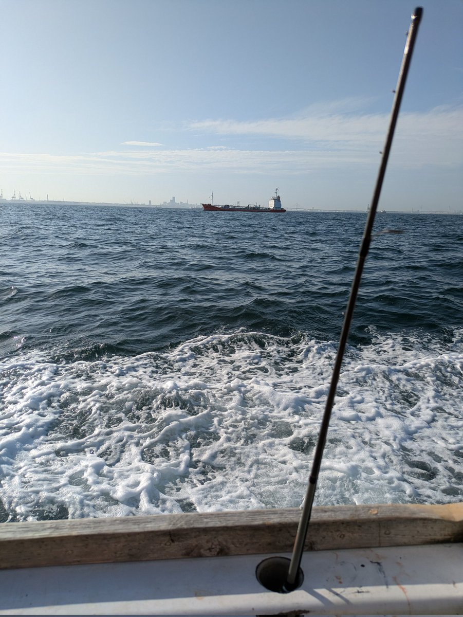 ひろ@釣りエンジニア tweet media