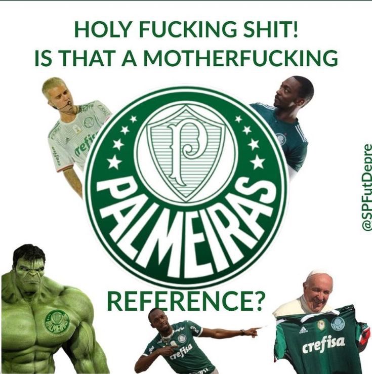 palmeiras me deixou com depressão tweet media