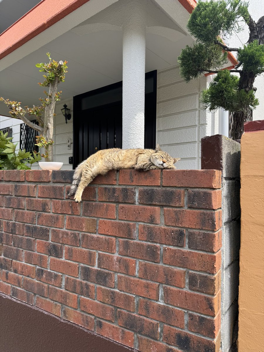 んが🍎 tweet media