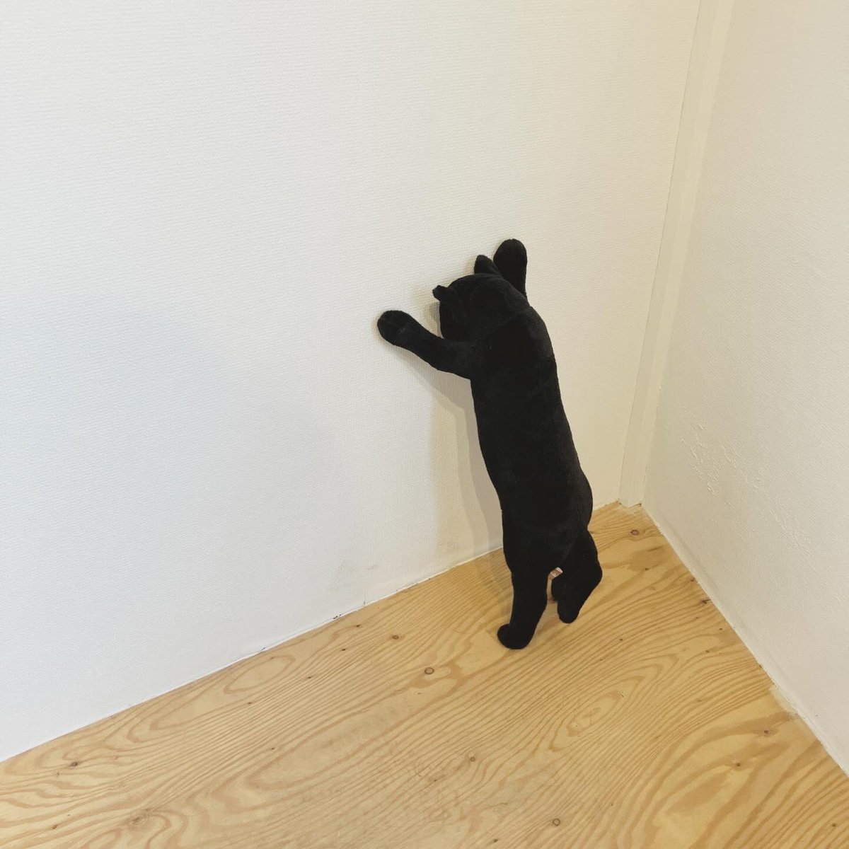 かんちく たかこ tweet media