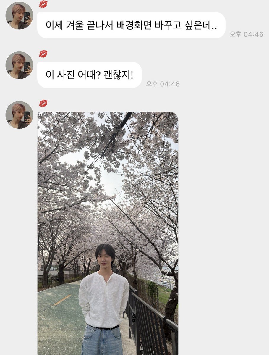 토뭉이.. tweet media