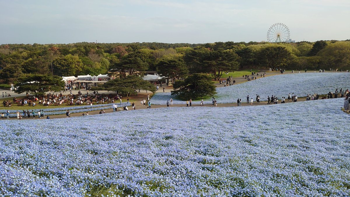 Raychel&Yoasobi@valefor tweet media