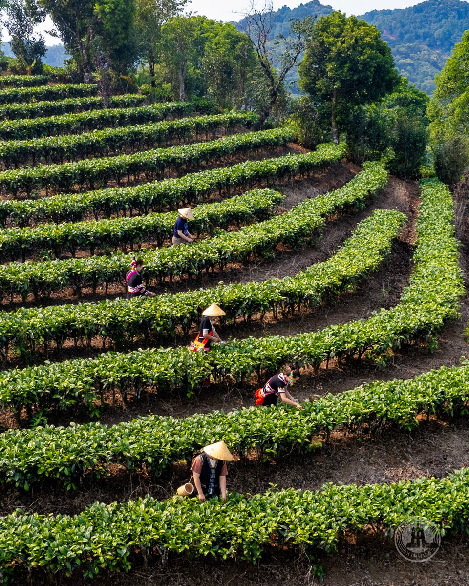 FlyOverChina tweet media