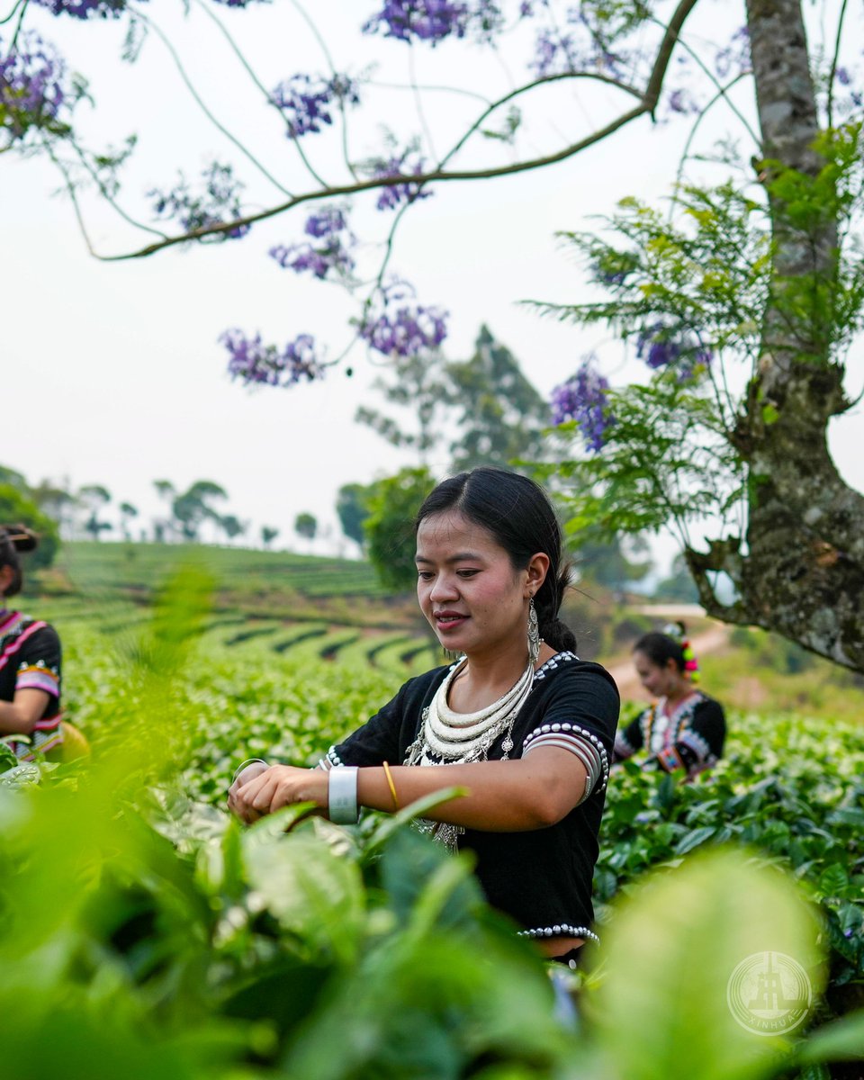 FlyOverChina tweet media