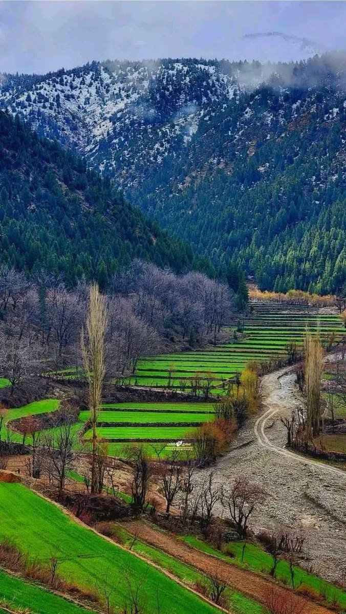 🦅 حافظ تسکین tweet media