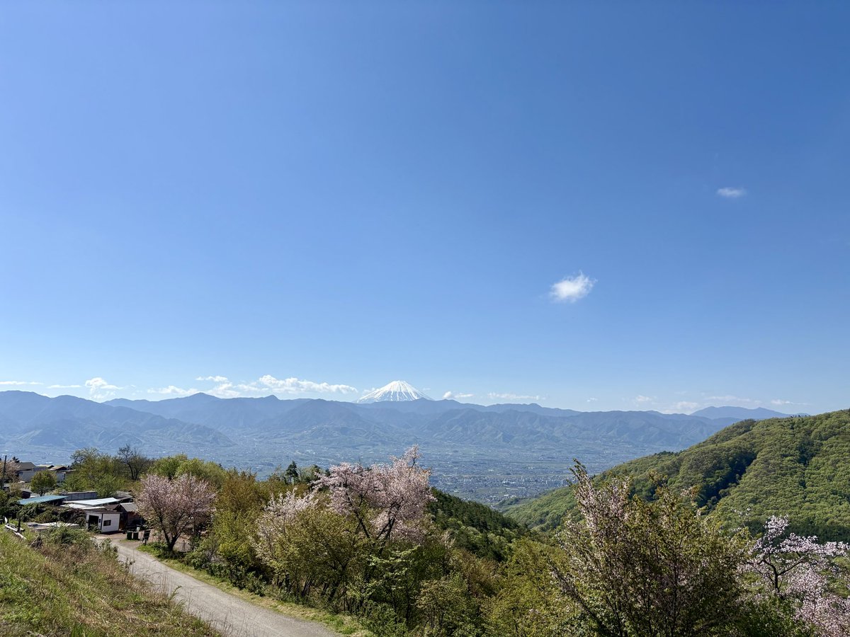 とし104⛺️キャンプ始めました🔰 tweet media