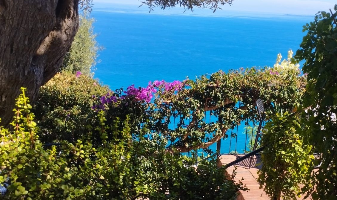 C_ Say@ 💜Gonzales@ tweet media