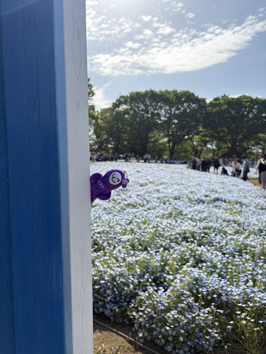 🌺emy_kchankpn🌺 tweet media