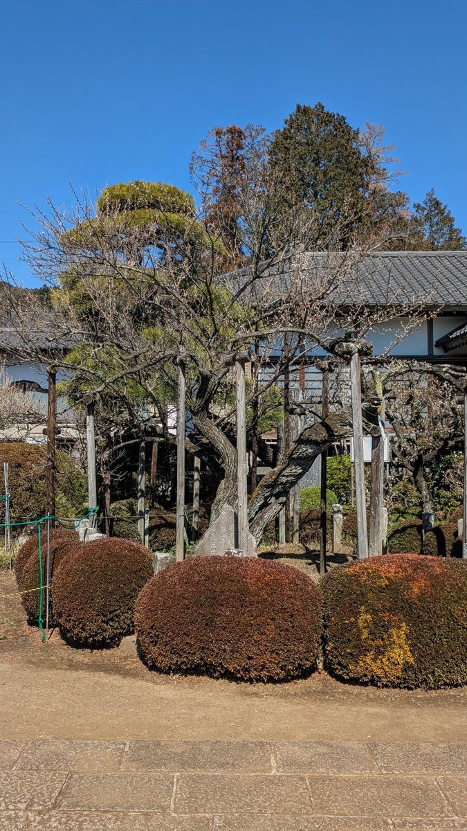 スミスさん tweet media