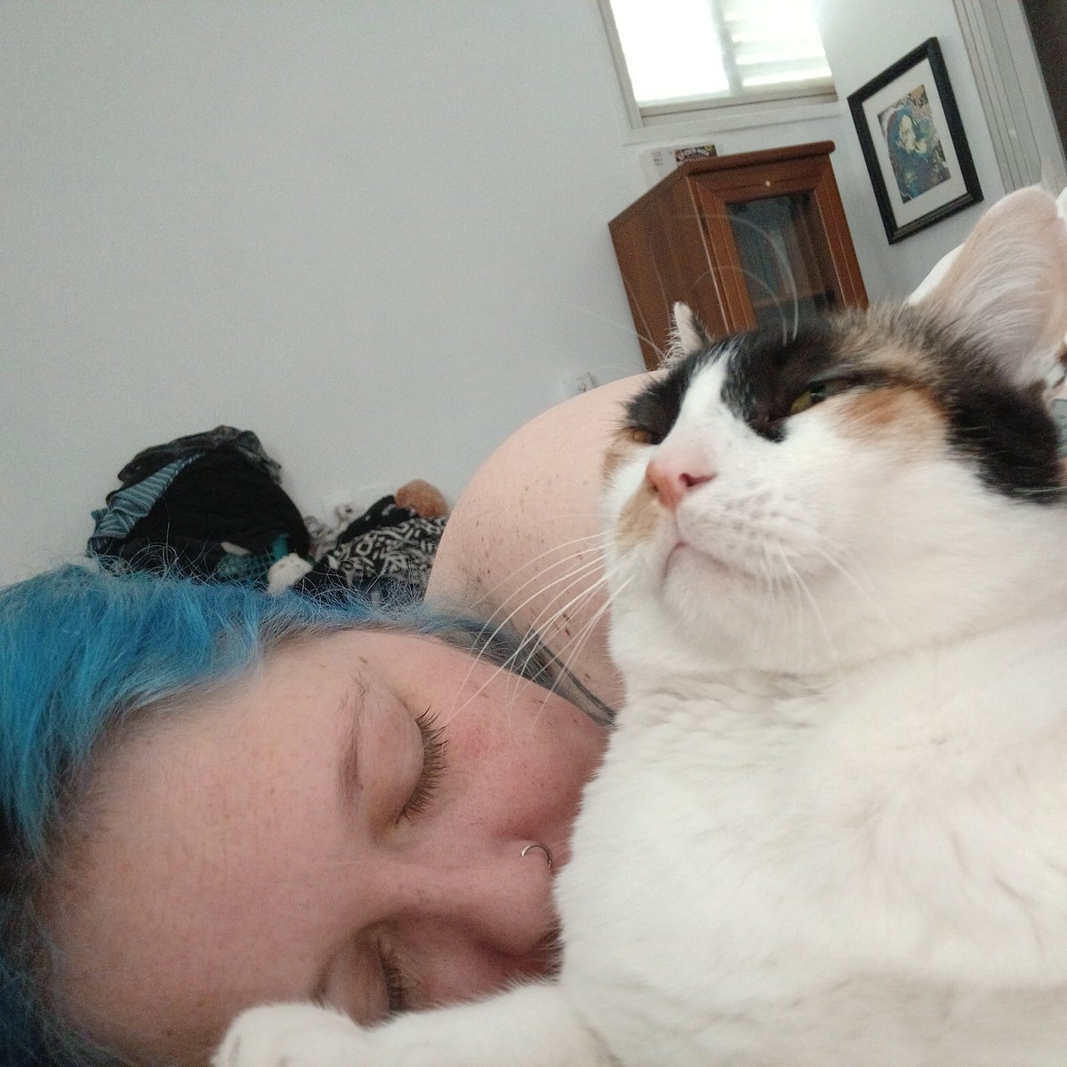 Eden 💙 +4 🐈 tweet media