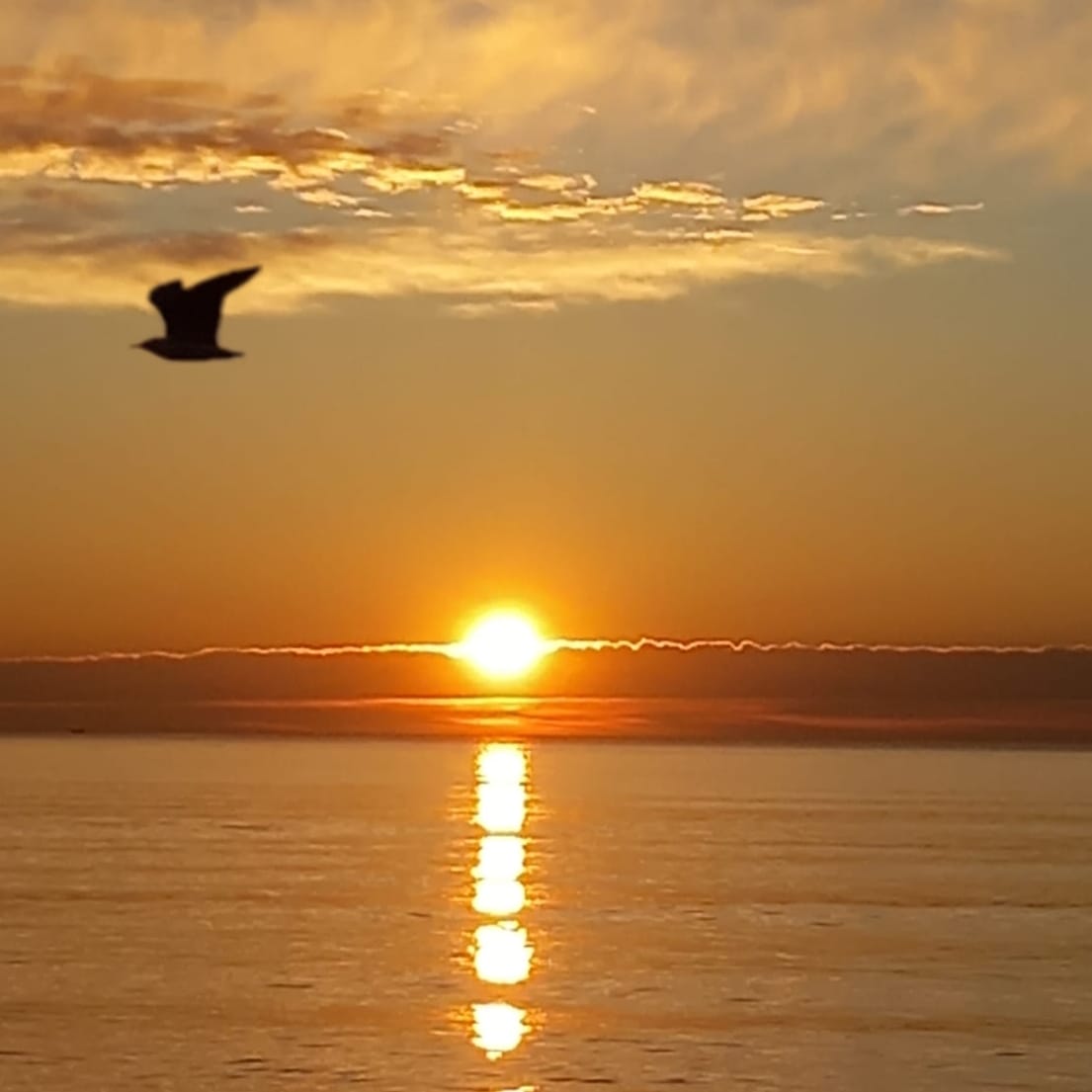 Cuando hagas algo noble y hermoso y nadie se de cuenta, no estés triste. El amanecer es un espectáculo hermoso y sin embargo la mayor parte de la audiencia duerme todavía.
Feliz sábado para todos🤗