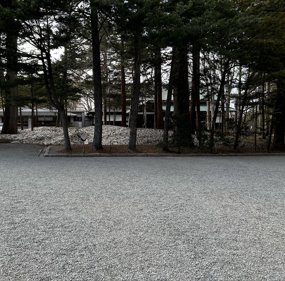 ( ^ω^ ) tweet media