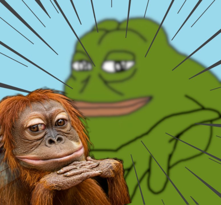 Quantum Shid Packets tweet media