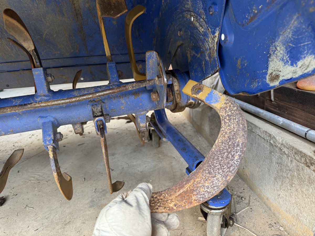 ちゃお tweet media