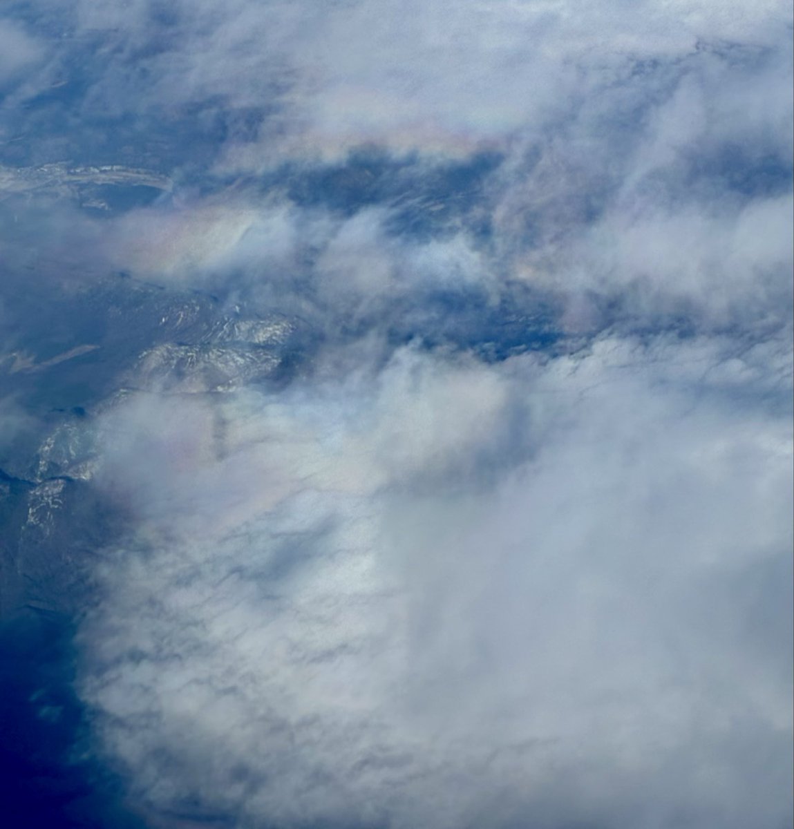 ゆーご tweet media