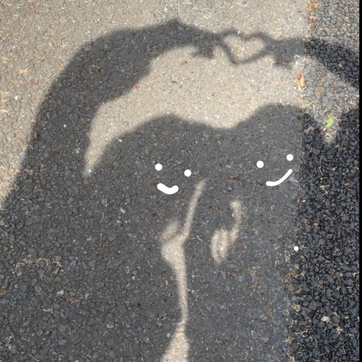 Lukaꪔ̤̮ tweet media