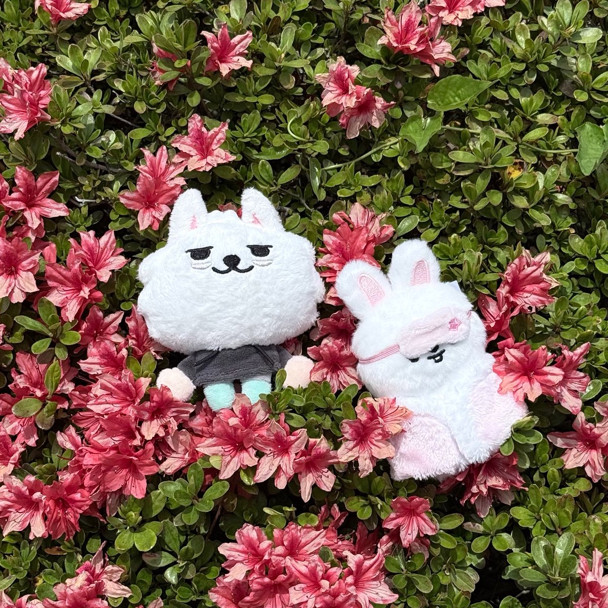 Lukaꪔ̤̮ tweet media