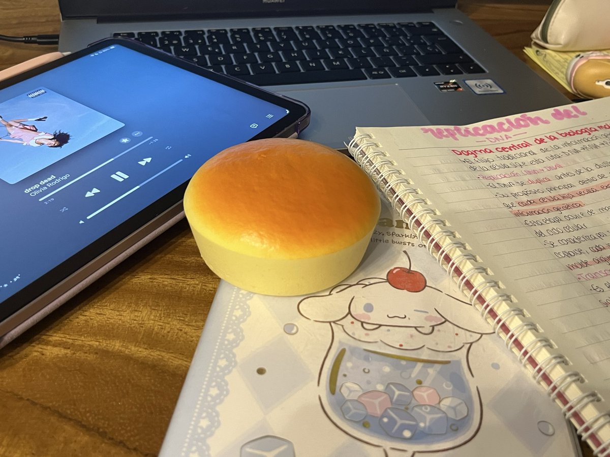 feeer ‎𑣲₍ ᐢ. .ᐢ₎₊˚꙳*๑♡՞ tweet media