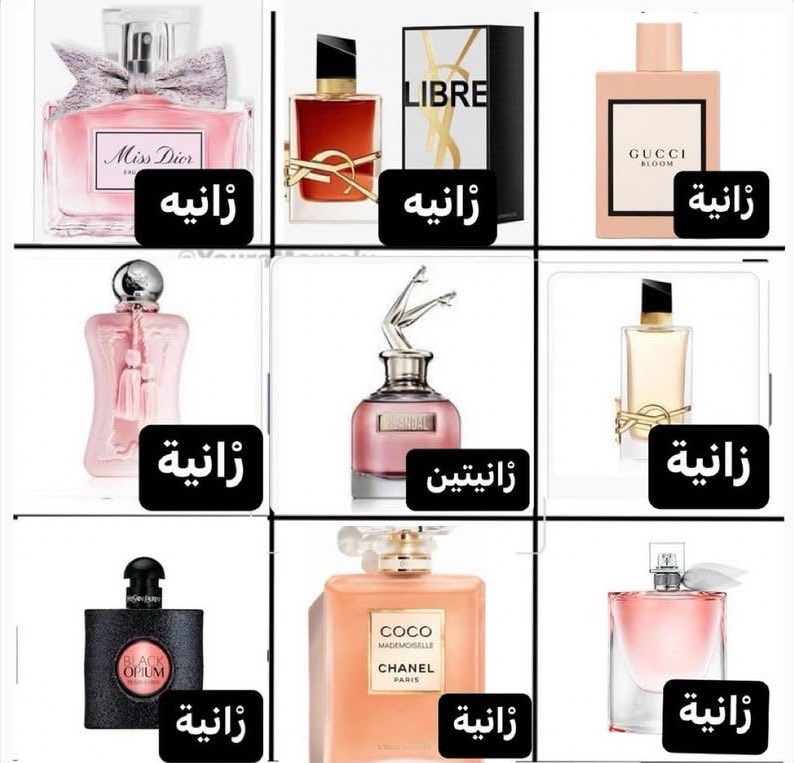 بيلي 🇺🇸 tweet media