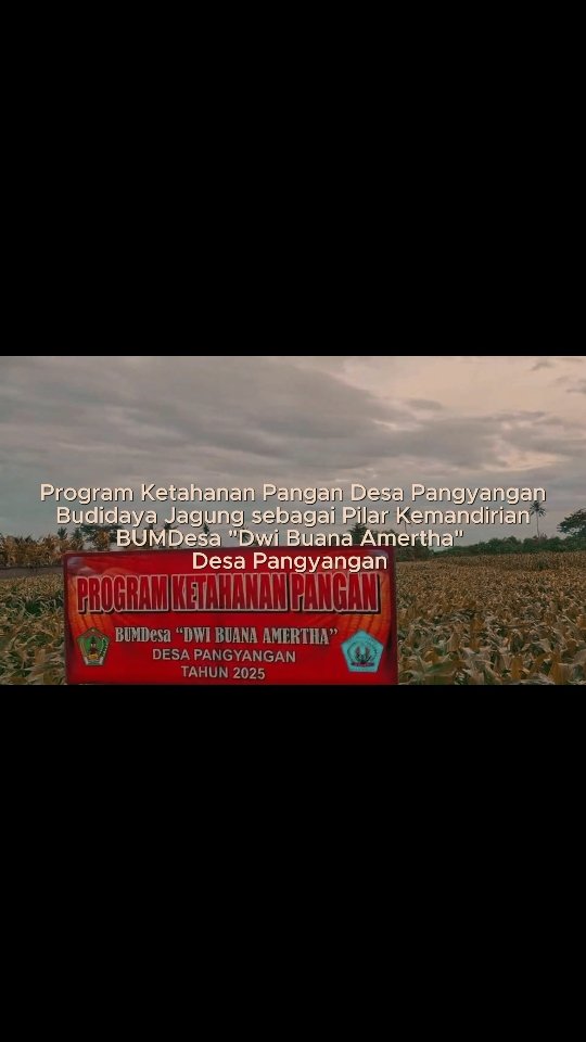 PrimadaniSaka's tweet photo. Desa Pangyangan Menunjukkan Karya Nyata Menuju Kemandirian, mll KETAHANAN PANGAN yg dikelola BUMDesa. 

@YandriSusanto
@KementerianDesaPDT
#KementerianDesaPDT
#BPSDMKementerianDesaPDT
#BUMDesaKelolaKetahananPangan
#KerjaPendampingDesaBerdampak
#TenagaPendampingProfesional https://t.co/xe9YopTo59