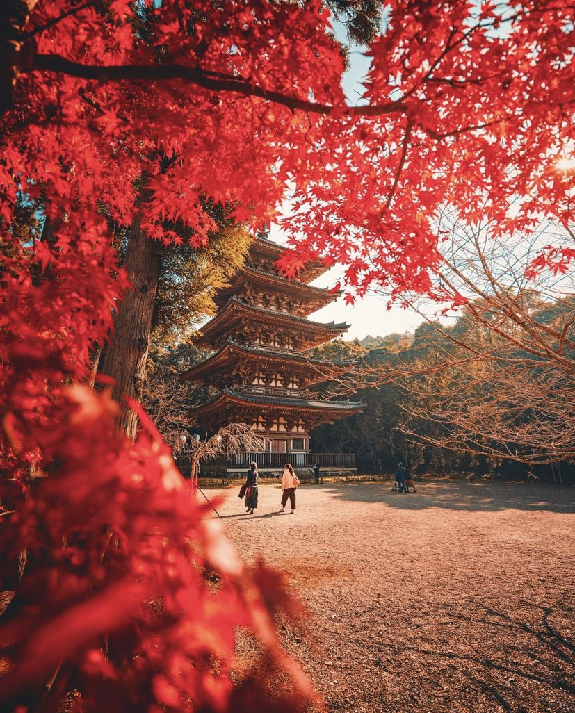 Beautiful Kyoto, Japan 🇯🇵