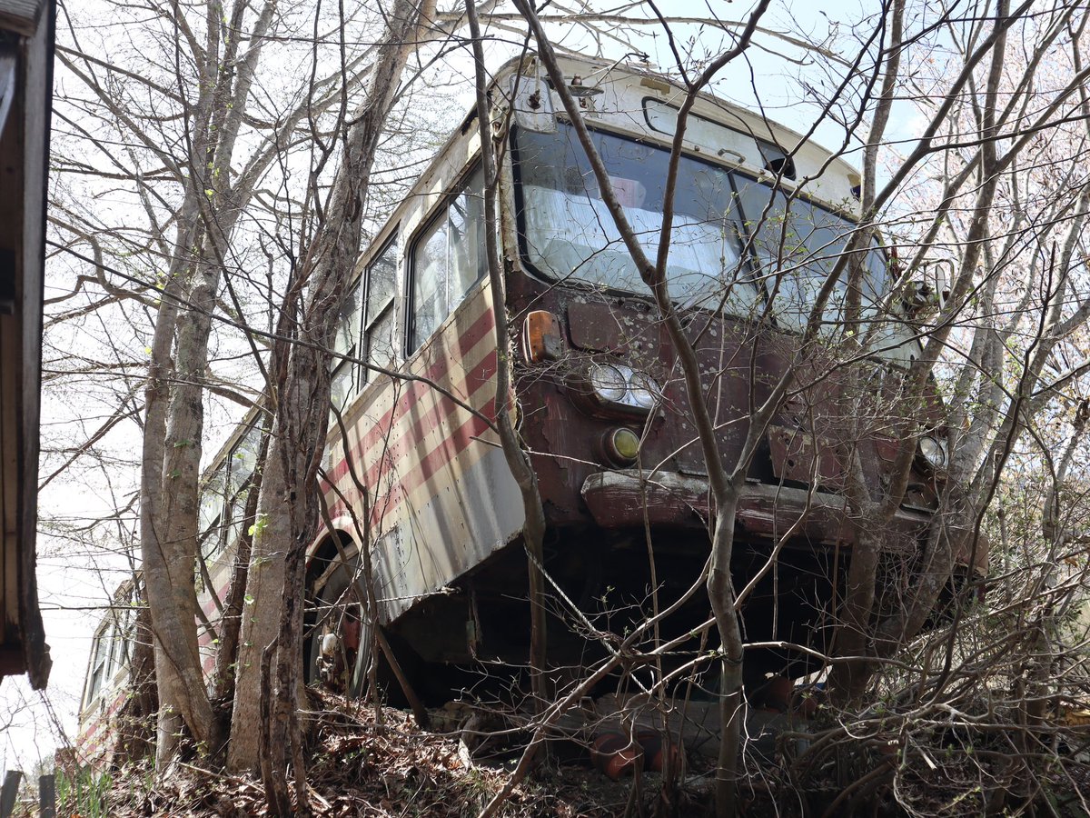 まろにえ桃源郷 tweet media