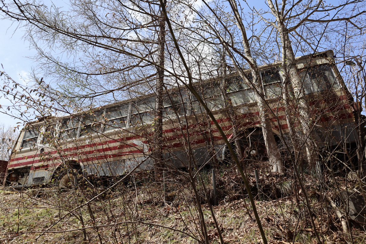 まろにえ桃源郷 tweet media