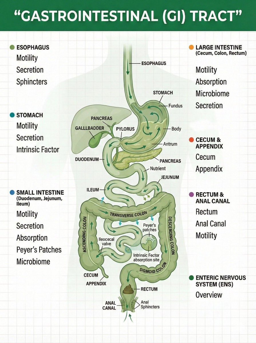 MD Riad Khan tweet media