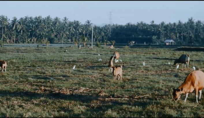 Desa Pangyangan Menunjukkan Karya Nyata Menuju Kemandirian, Melalui KETAHANAN PANGAN yg dikelola BUMDesa..

<a href="/YandriSusanto/">Yandri Susanto</a>
@KementerianDesaPDT

@KementerianDesaPDT
@BPSDMKementerianDesaPDT
@BUMDesaKelolaKetahananPangan
@KerjaPendampingDesaBerdampak
@TenagaPendampingProfesional