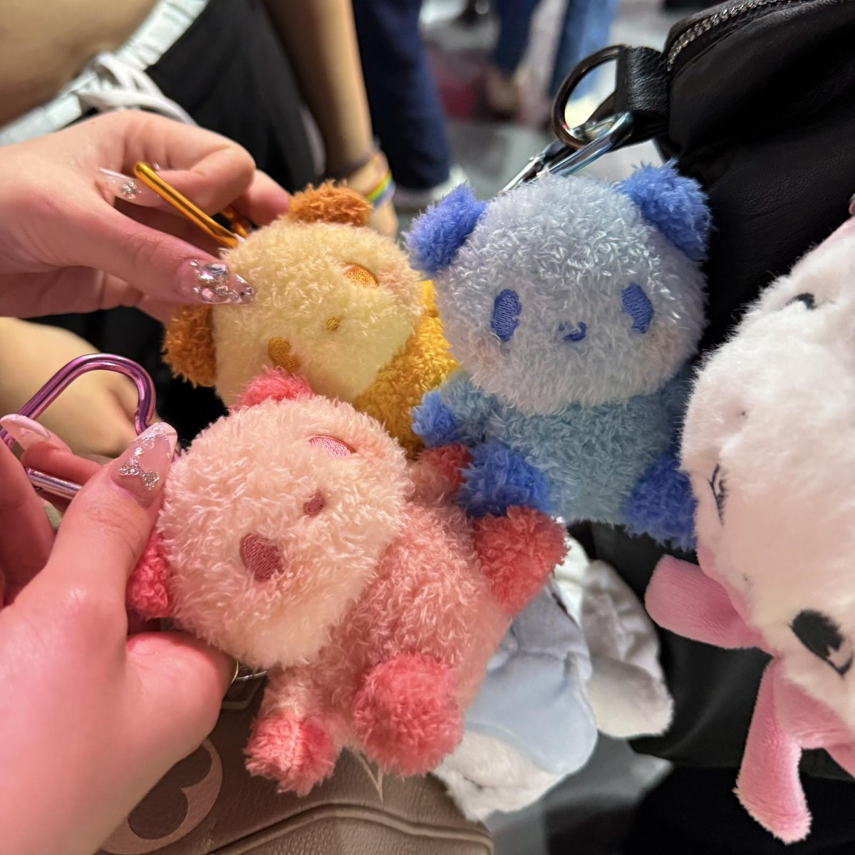 お買いものパンダ最新ニュース【楽天公式】 tweet media