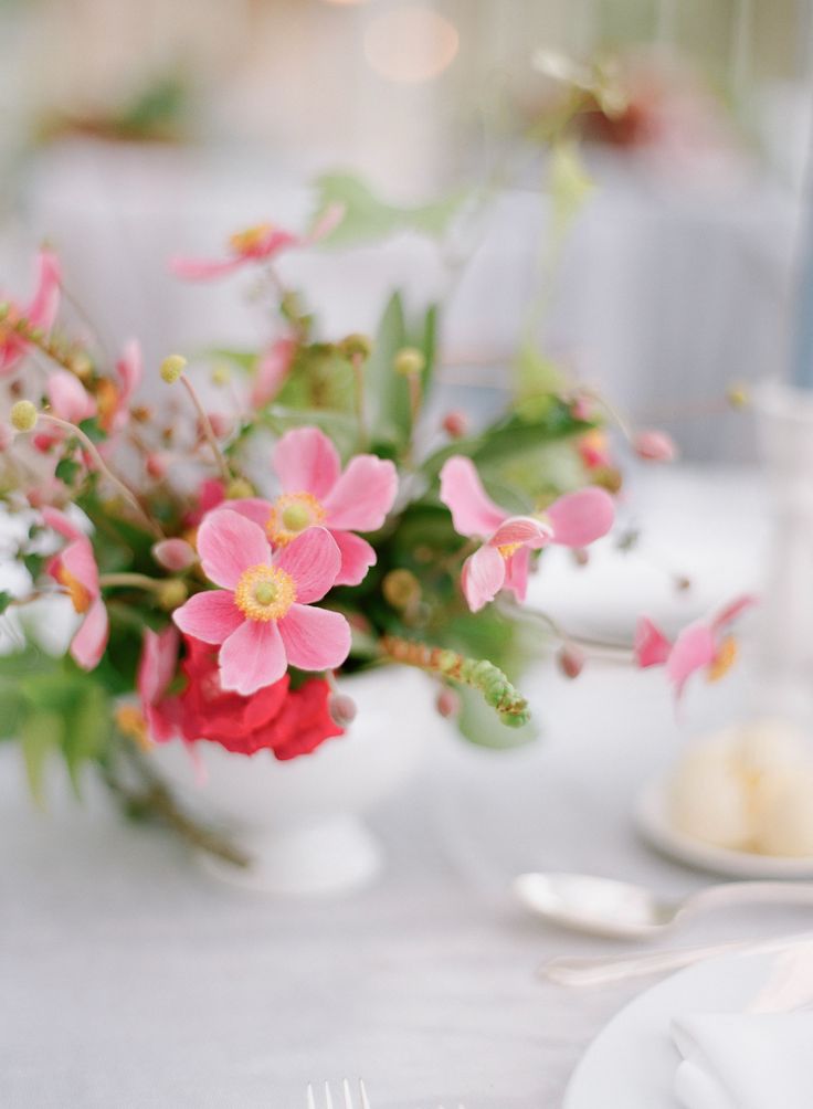 Nature's Canvas tweet media