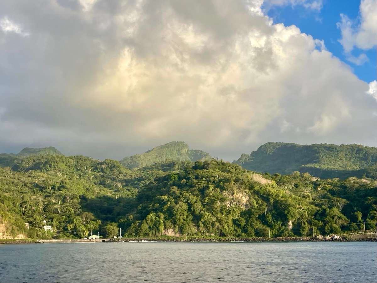 SCoR Members tweet media