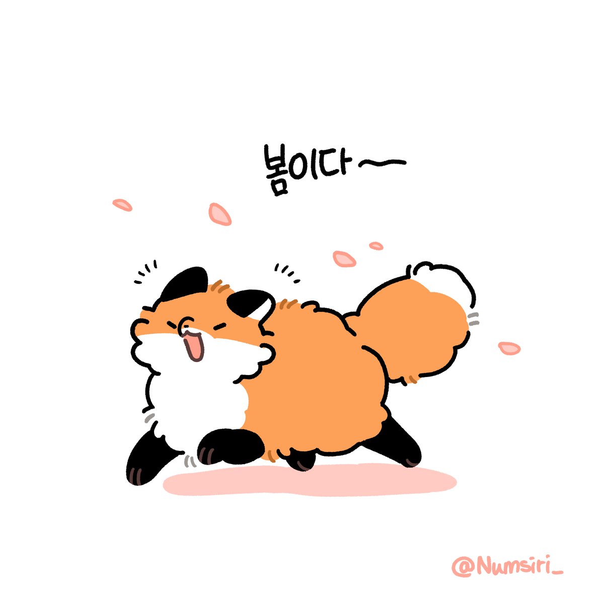 눔시리 Numsiri 🎗 tweet media