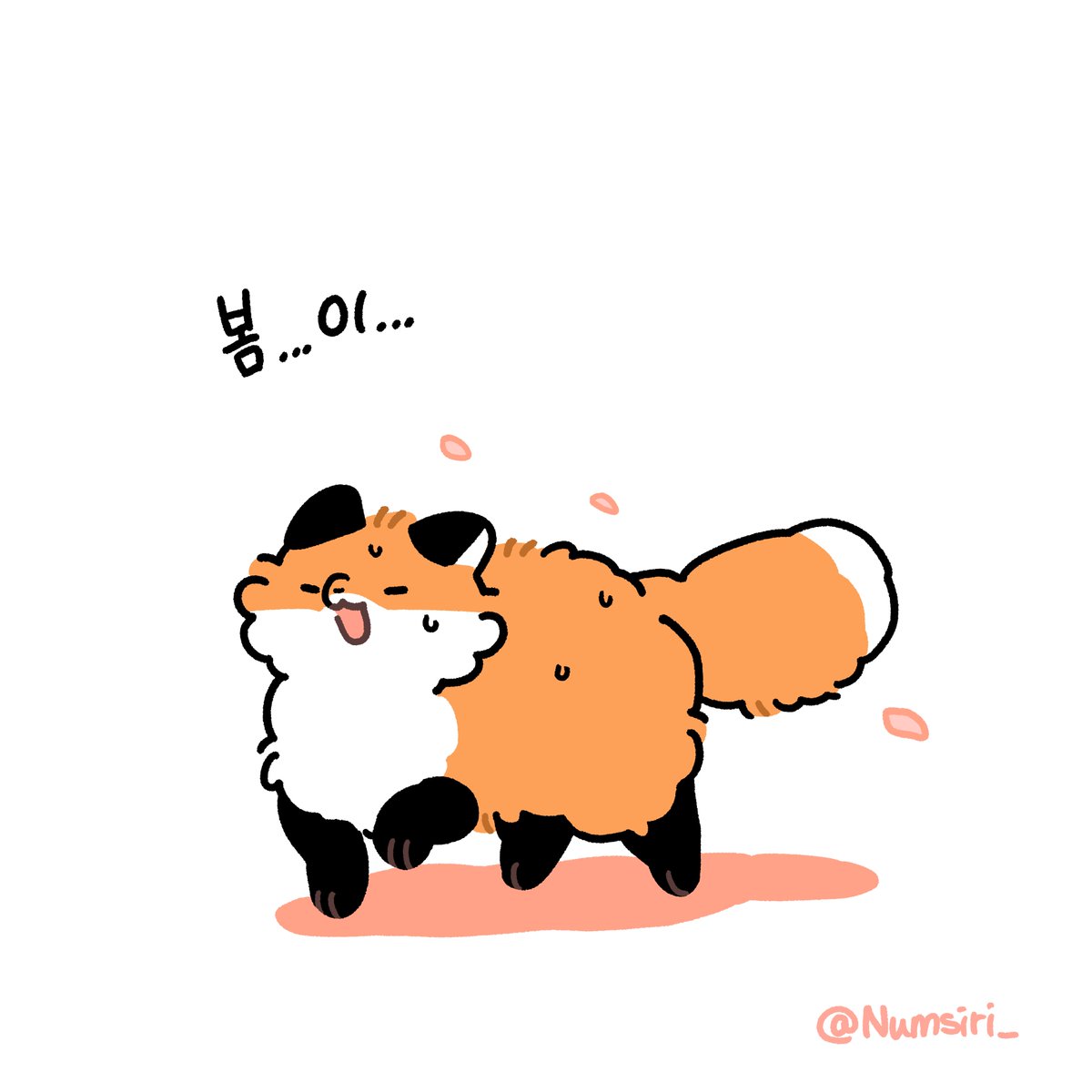 눔시리 Numsiri 🎗 tweet media