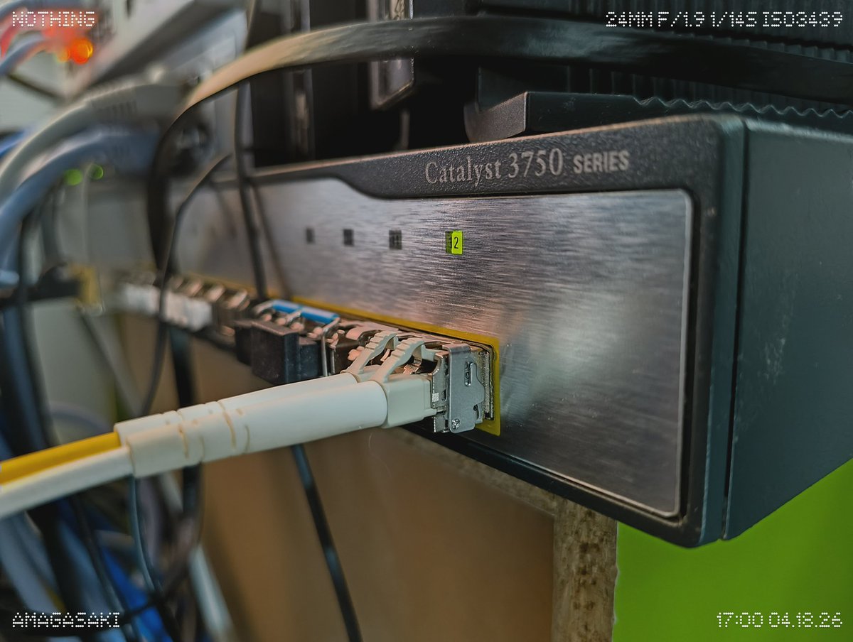 信濃眞伊 / ɕinano mai tweet media