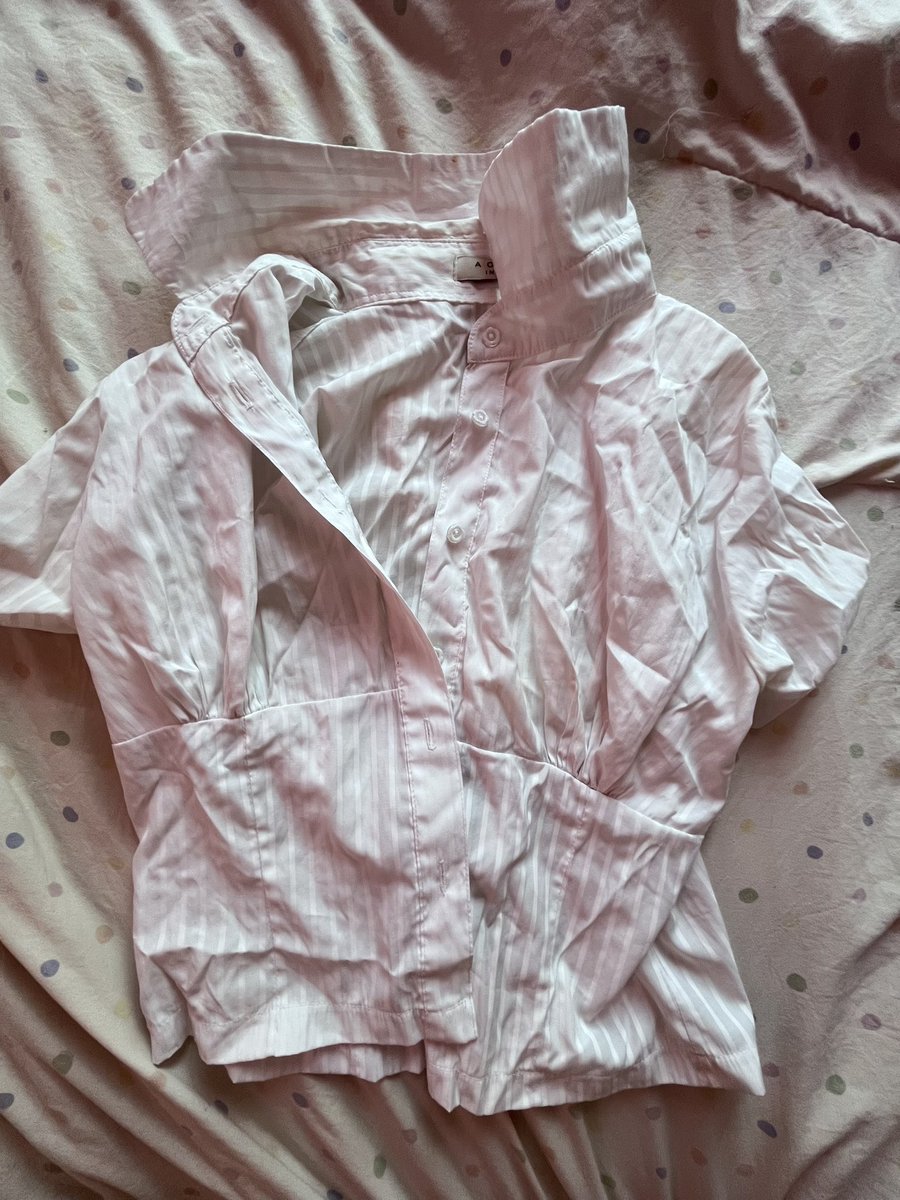 🐈🌸 tweet media