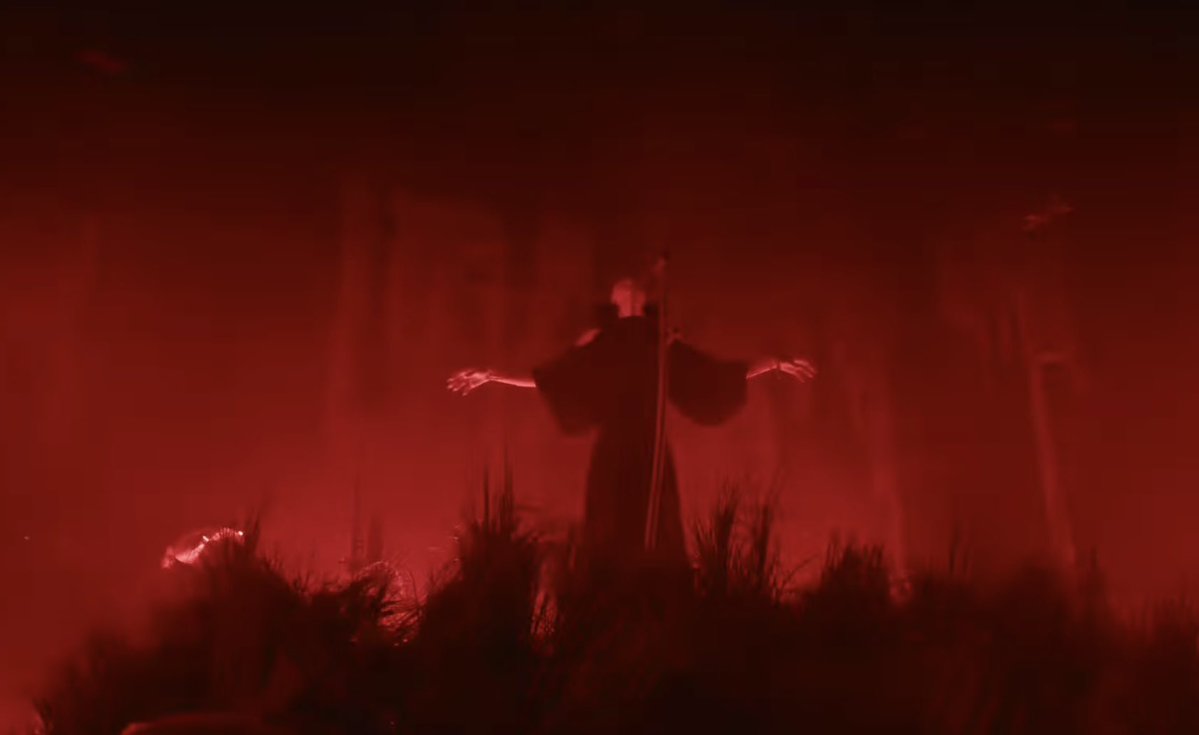 Evil Princess Leia Organa