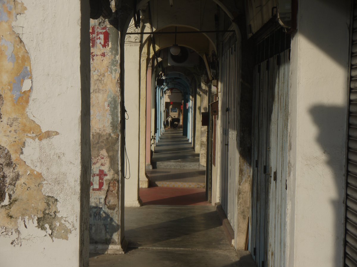 Habu Chan tweet media