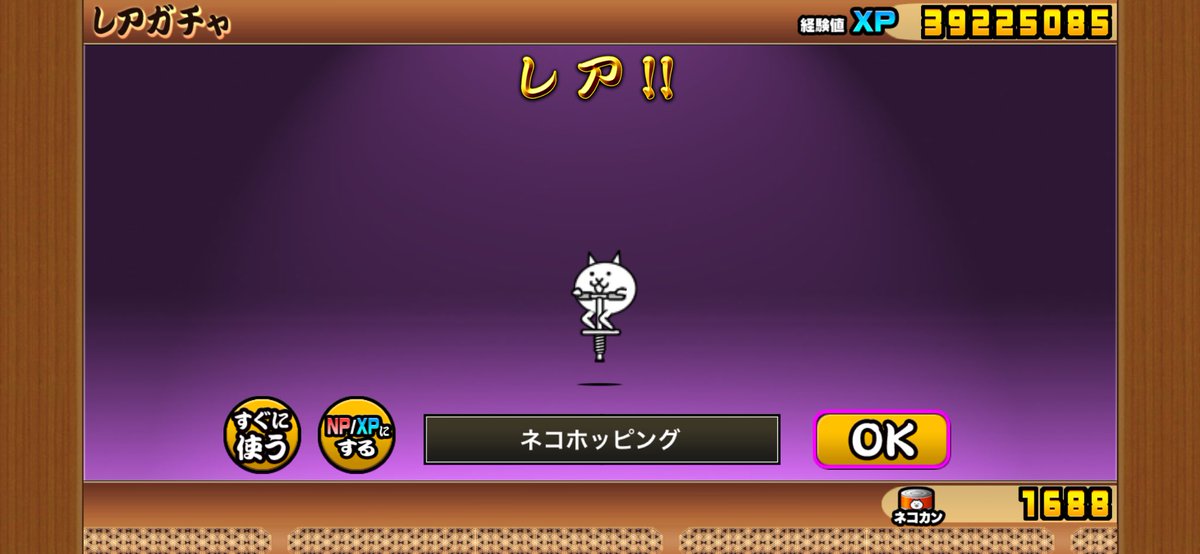 ねこねこ tweet media