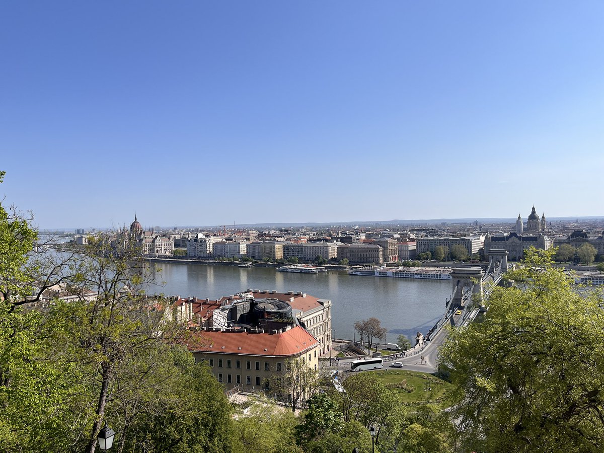 Thomas🛡️ tweet media