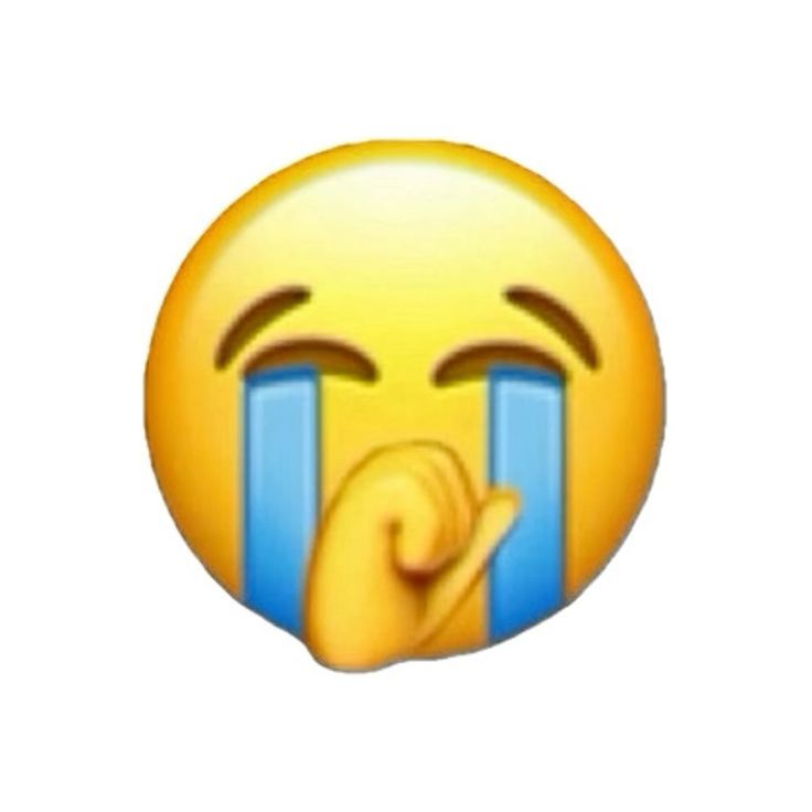 sami🎀 tweet media