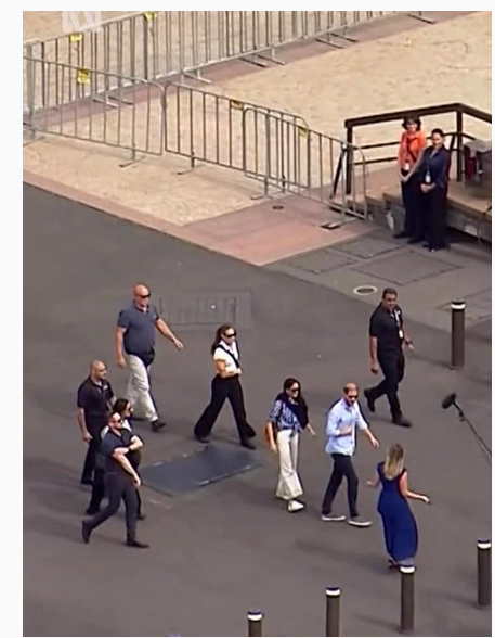 Goldfinch tweet media