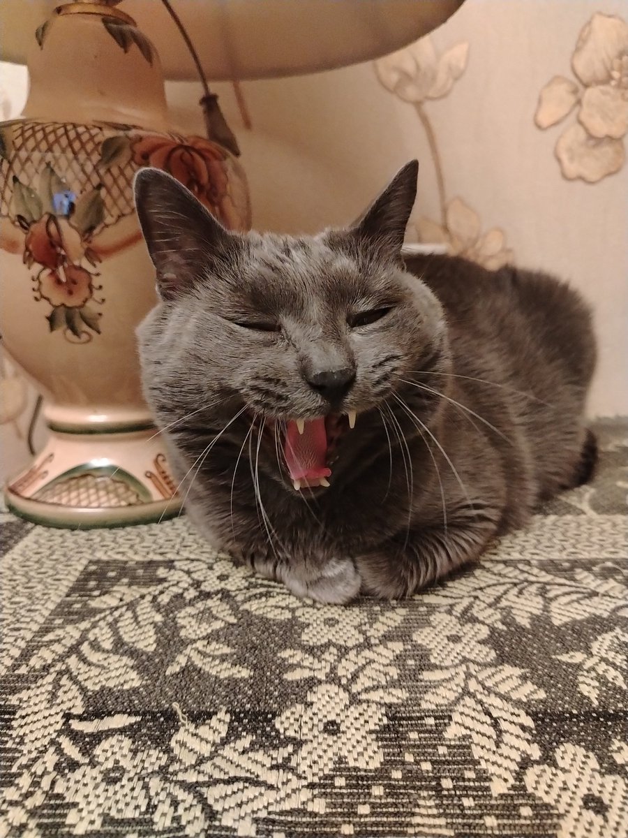 Точно так